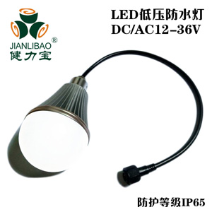 LED渔船灯泡_LED船舶灯泡_LED低压灯泡_防水LED灯泡